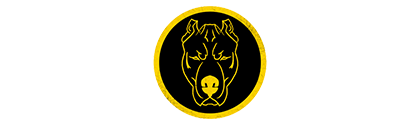 Onepeg Streamer